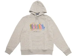 Polo Ralph Lauren Graphic Fleece Hoodie