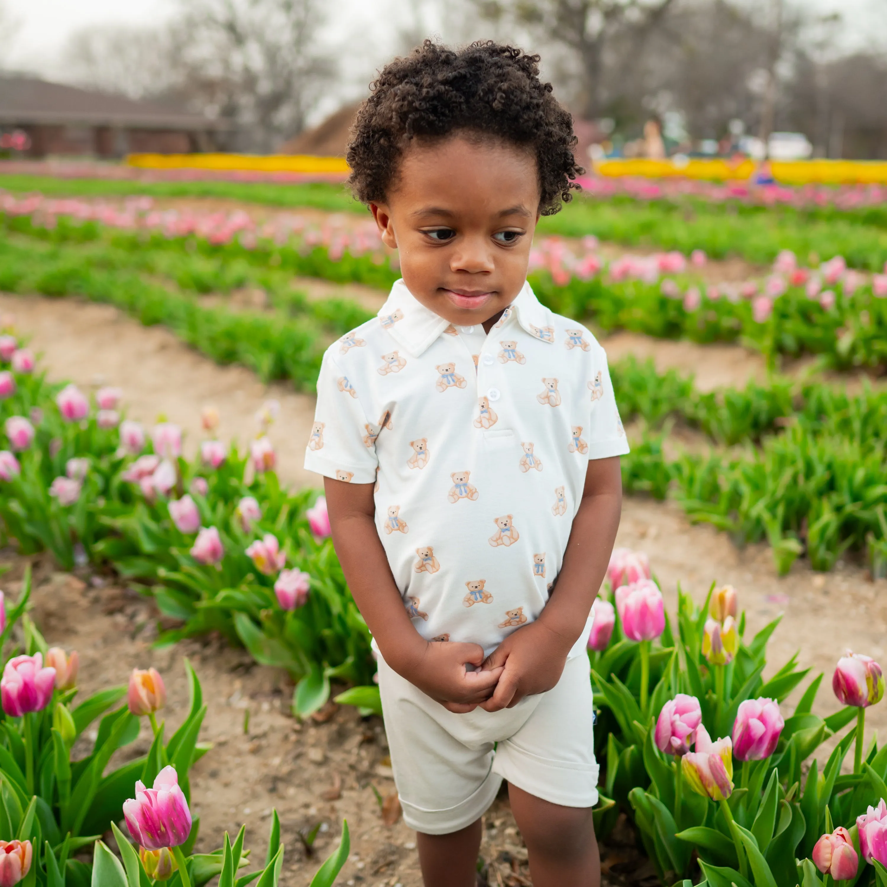 Toddler Short Sleeve Polo in Teddy Bear